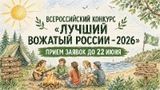 Конкурс "Лучший вожатый России"